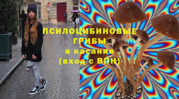 метадон Арсеньев