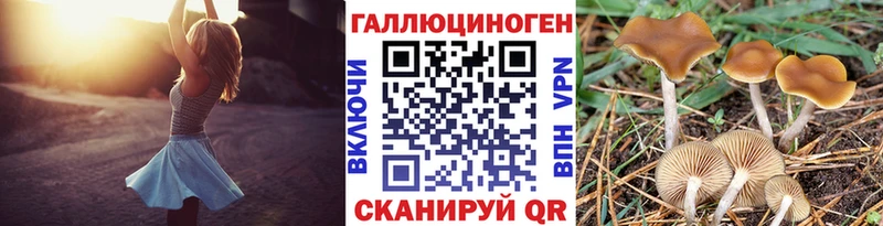 Псилоцибиновые грибы Cubensis  blacksprut зеркало  Нижний Ломов 